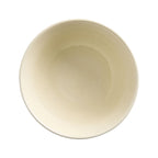 Glazed Porcelain Bowl- Reactive Beige